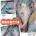 腌制开背湄公鱼，无需腌制处理，方便快捷，省时省力