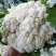 邯郸散花实花松花菜花大量上市价格便宜需要一亩田联系