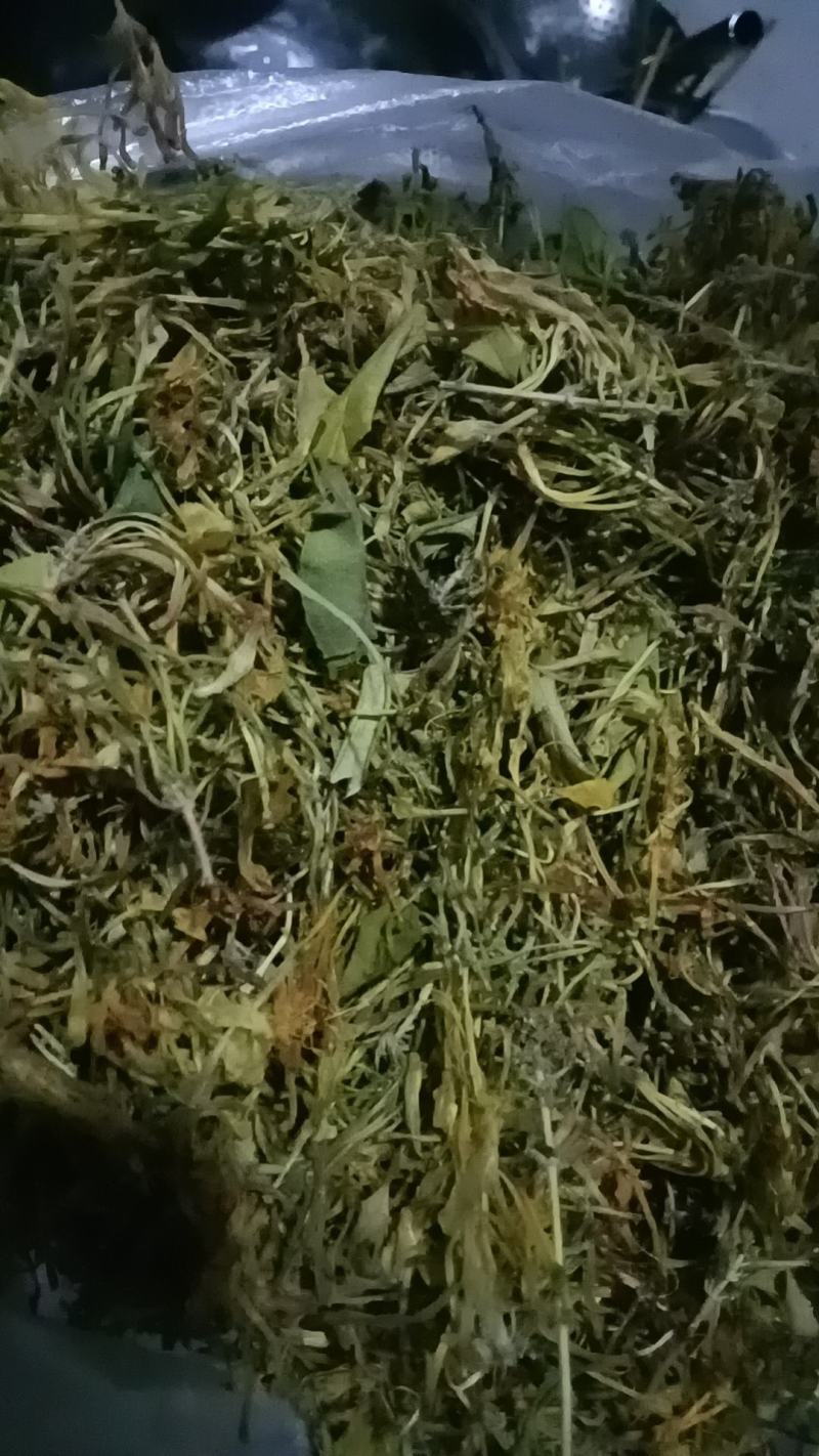 人生