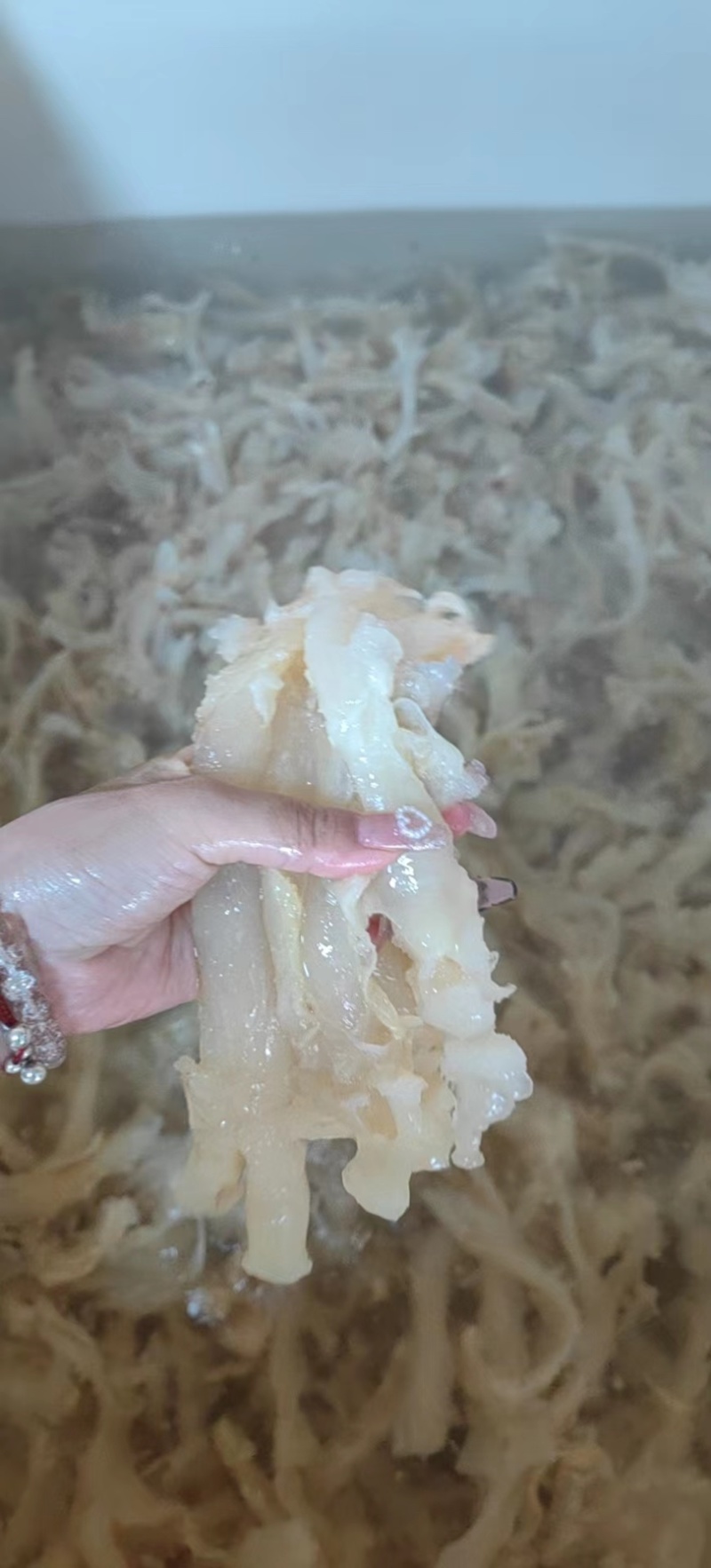 牛蹄筋水发蹄筋牛杂筋牛筋牛副筋新鲜牛筋熟牛筋火锅食材推荐