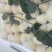 凯特杏大量有货