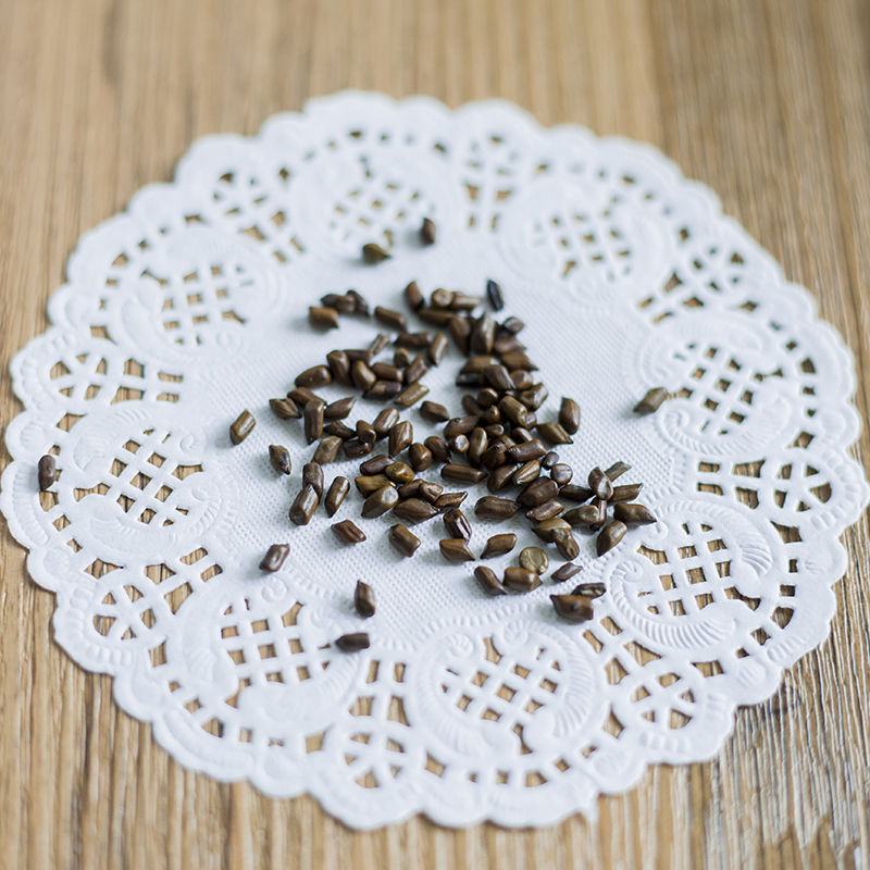 决明子茶炒熟决明子泡茶优质宁夏决明子菊花茶100g