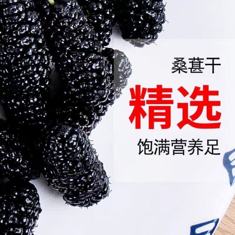 2023年新货桑葚干无沙桑葚食用泡酒泡茶桑葚干免洗食