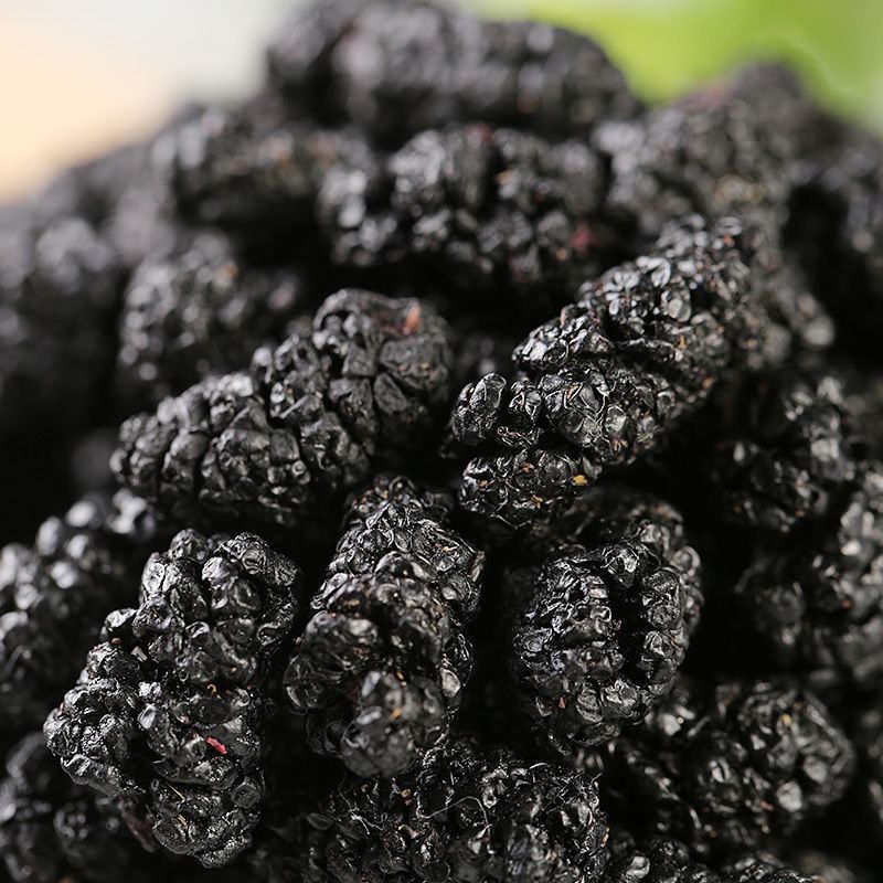 2023年新货桑葚干无沙桑葚食用泡酒泡茶桑葚干免洗食