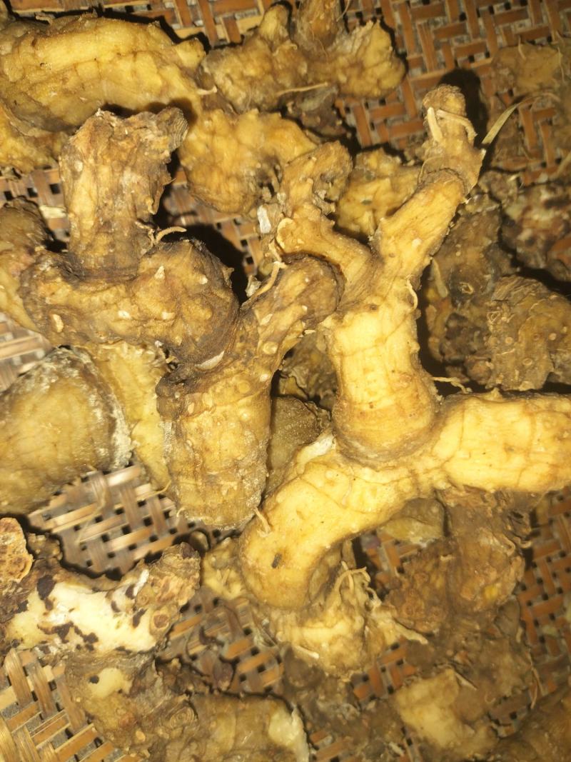 野生黄精