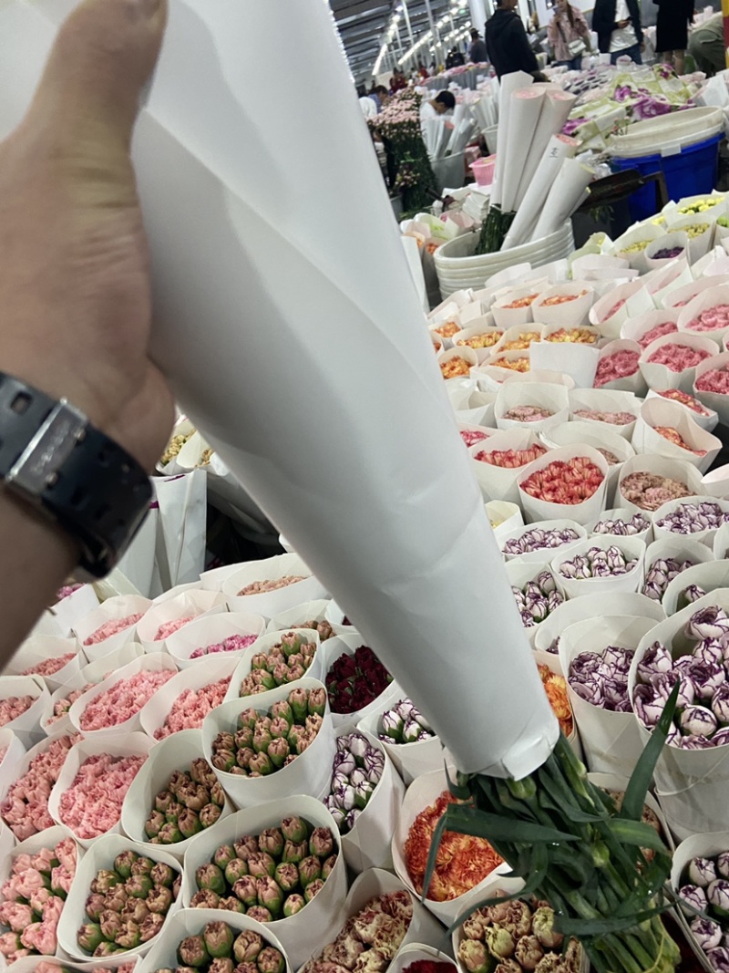 云南昆明斗南鲜花直发康乃馨，母亲节，量大从优
