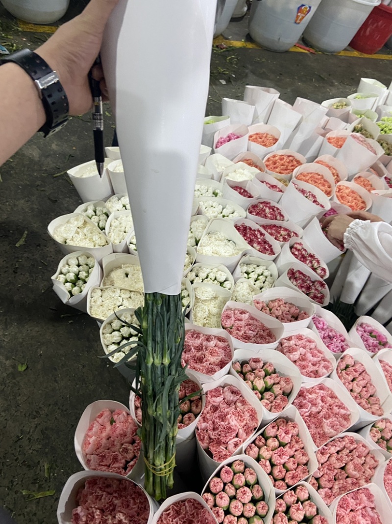 云南昆明斗南鲜花直发康乃馨，母亲节，量大从优