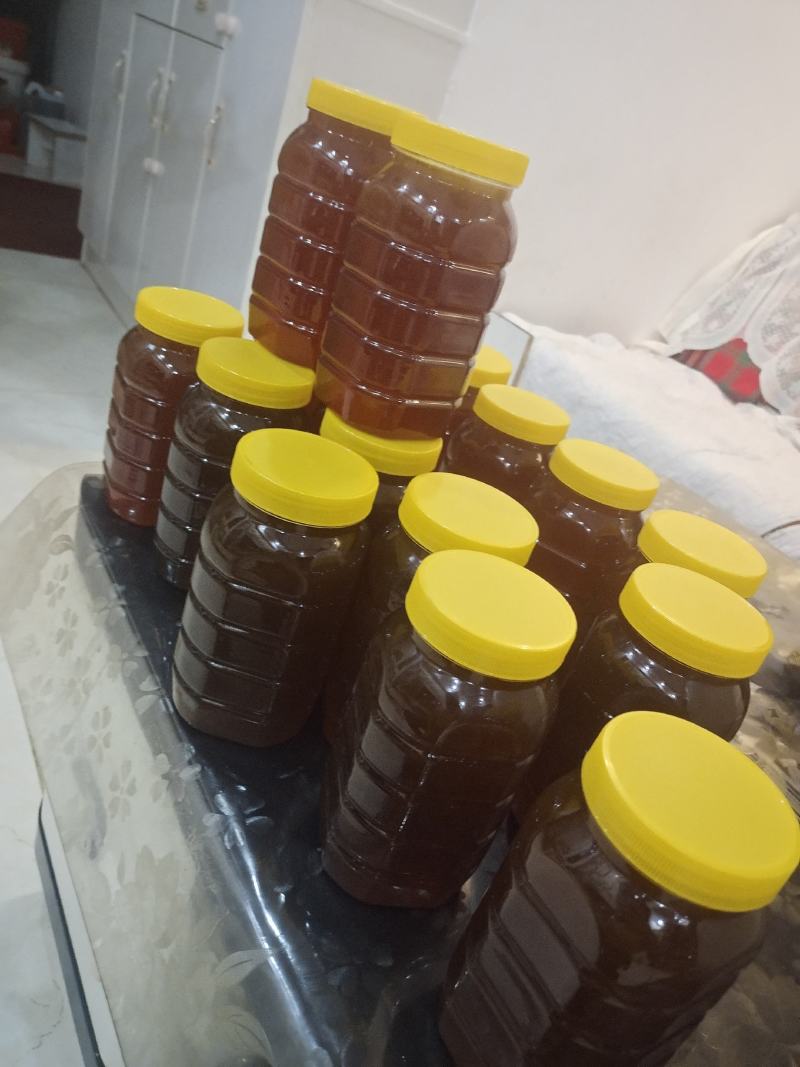 秦岭深山土蜂蜜
