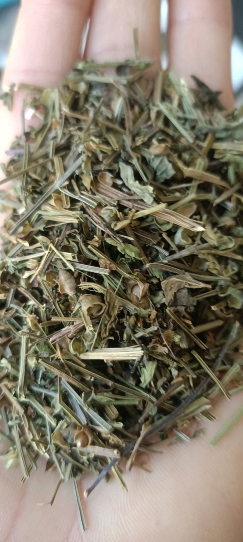 半枝莲，产地直销，新货，吸尘，过筛，加工磨粉，全国发货