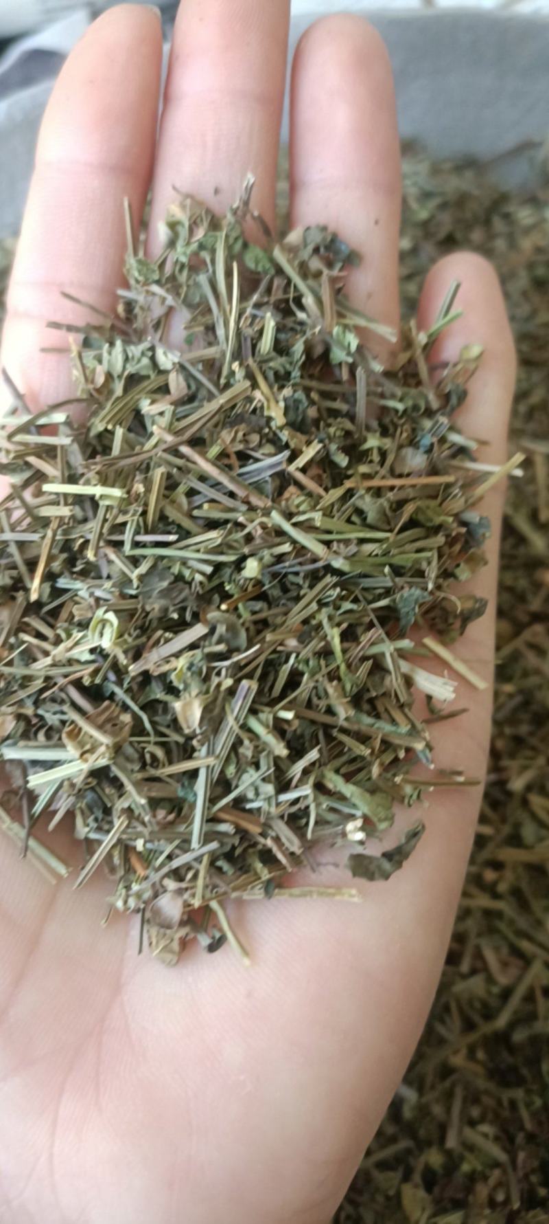 半枝莲，产地直销，新货，吸尘，过筛，加工磨粉，全国发货