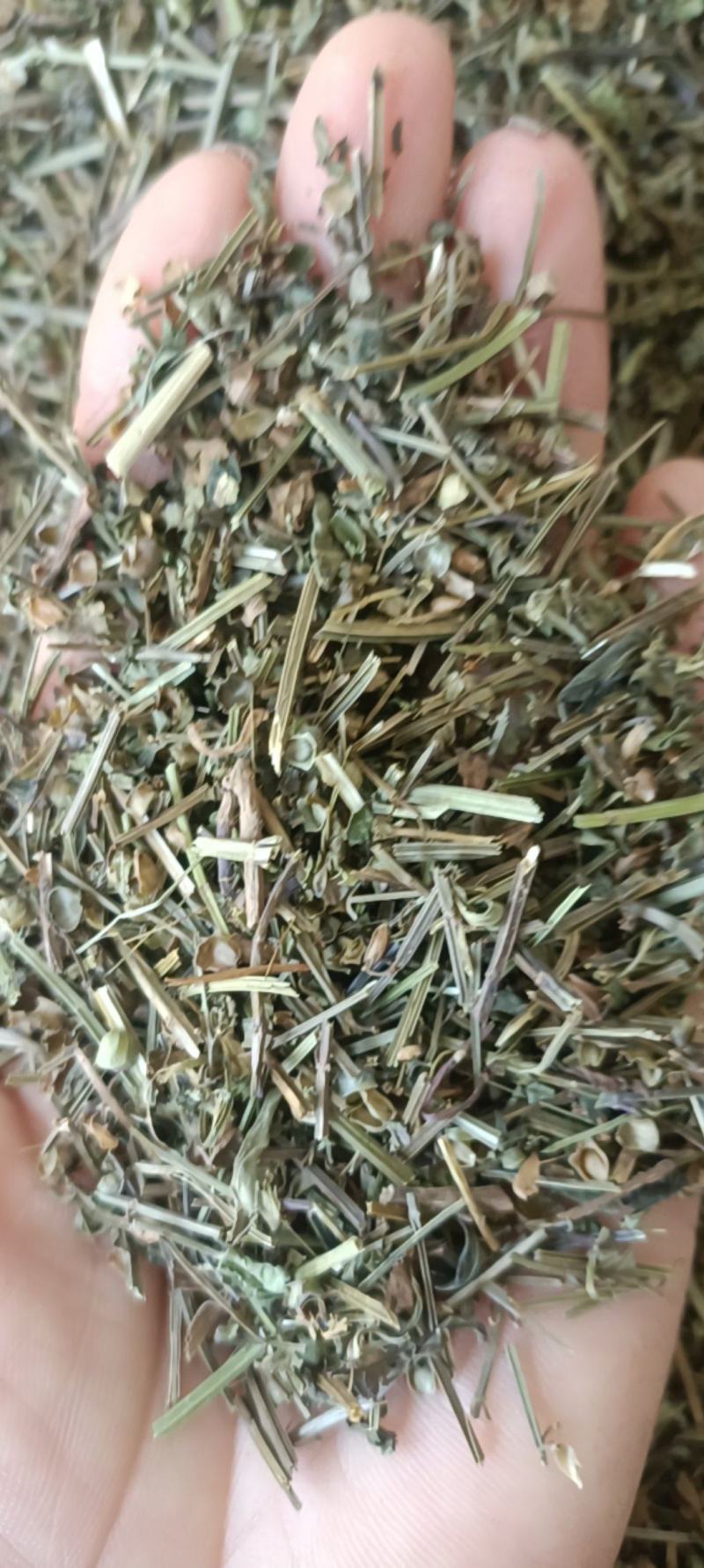 半枝莲，产地直销，新货，吸尘，过筛，加工磨粉，全国发货