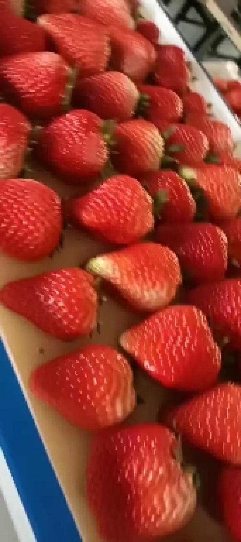 九九草莓代办