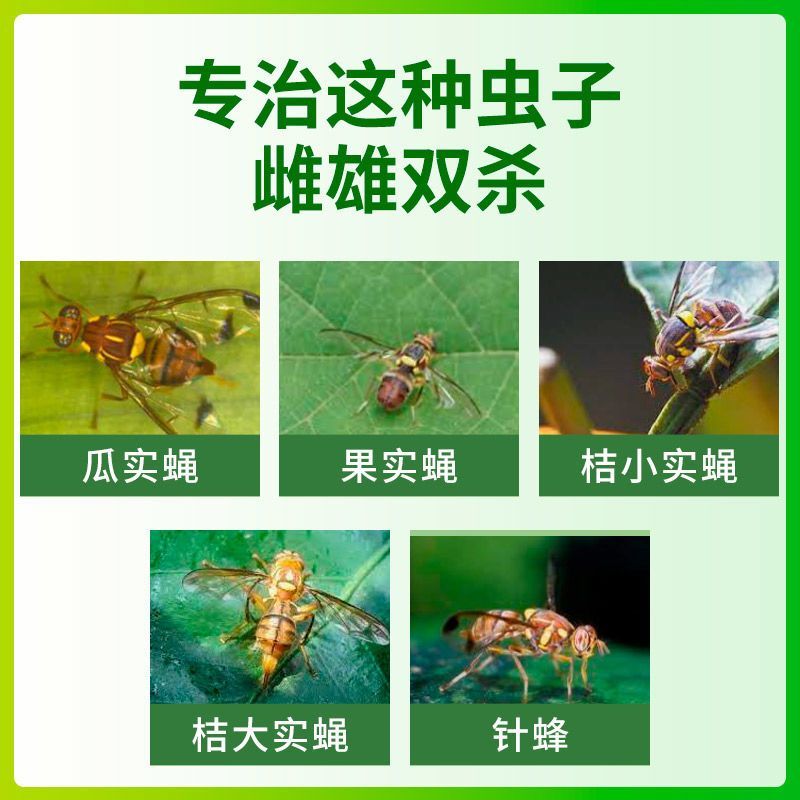 瓜果实蝇针蜂诱粘剂菜园果园果树杀虫剂实蝇诱捕剂神器果蝇引