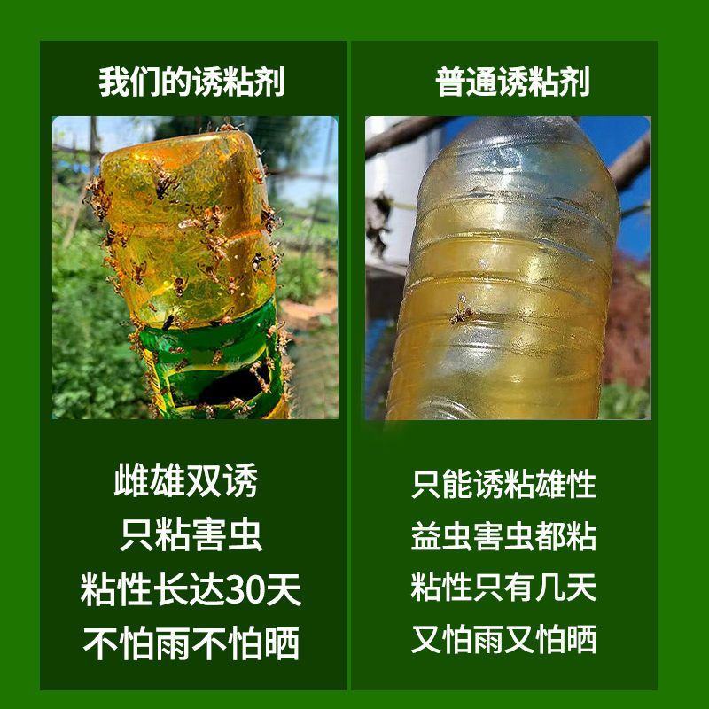 瓜果实蝇针蜂诱粘剂菜园果园果树杀虫剂实蝇诱捕剂神器果蝇引