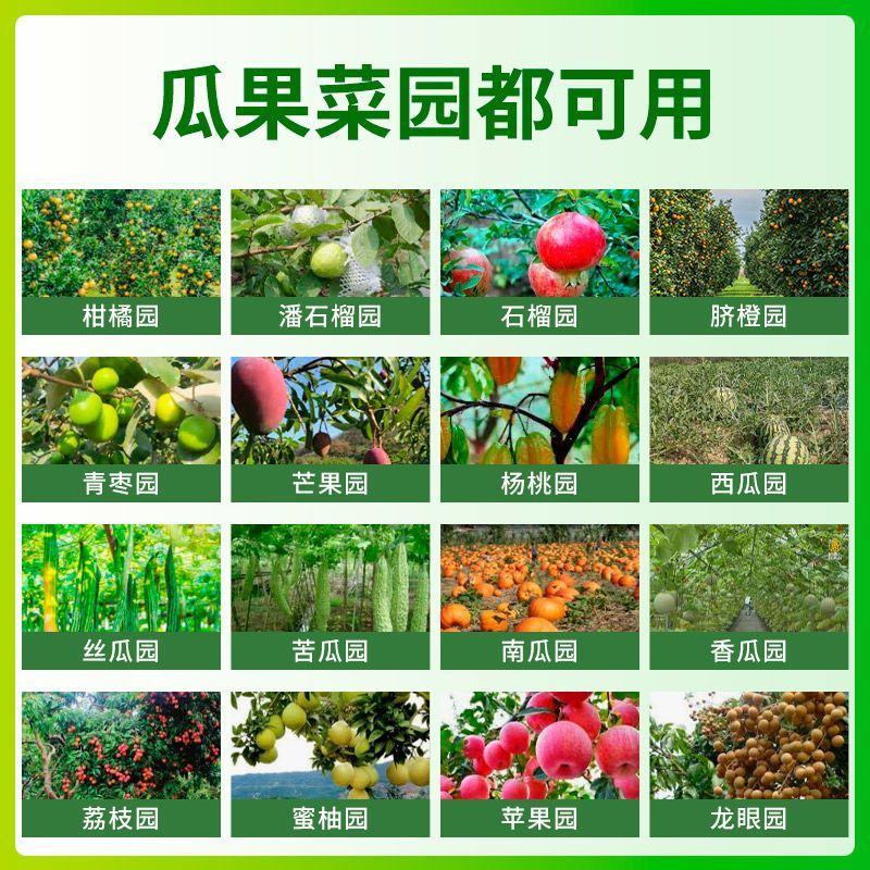 瓜果实蝇针蜂诱粘剂菜园果园果树杀虫剂实蝇诱捕剂神器果蝇引