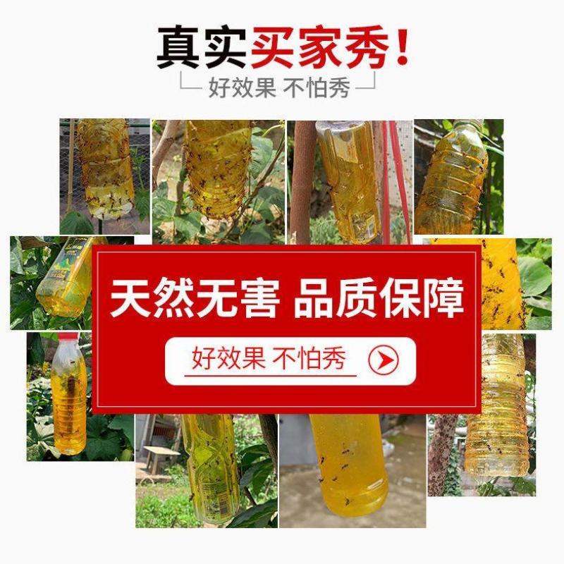 瓜果实蝇针蜂诱粘剂菜园果园果树杀虫剂实蝇诱捕剂神器果蝇引
