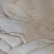 羊皮