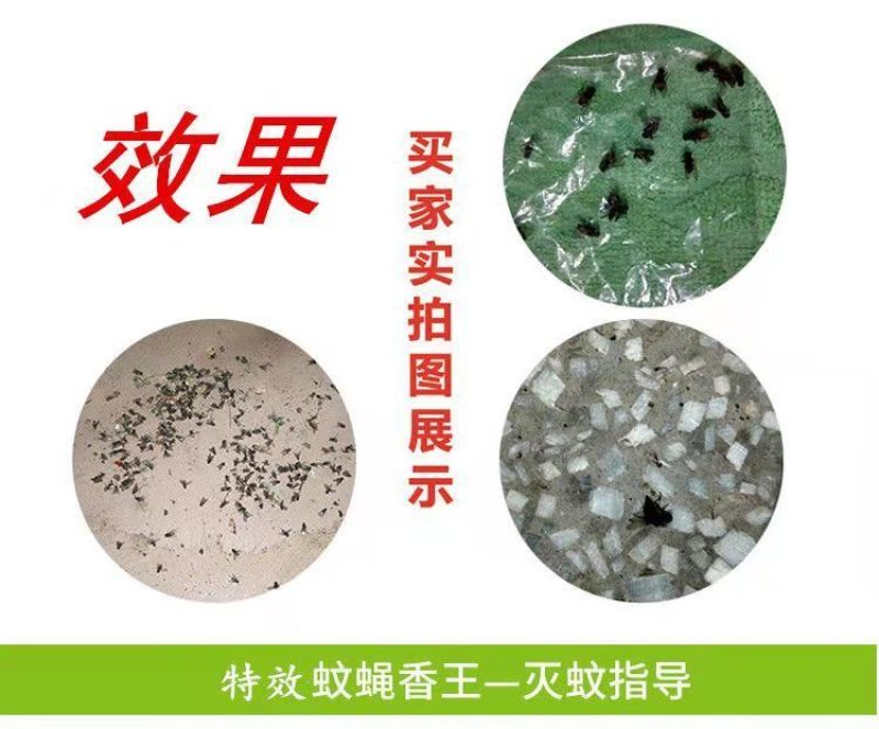 蚊香蝇香蚊蝇香王苍蝇香长蚊蝇香王家用儿童强力除蝇除
