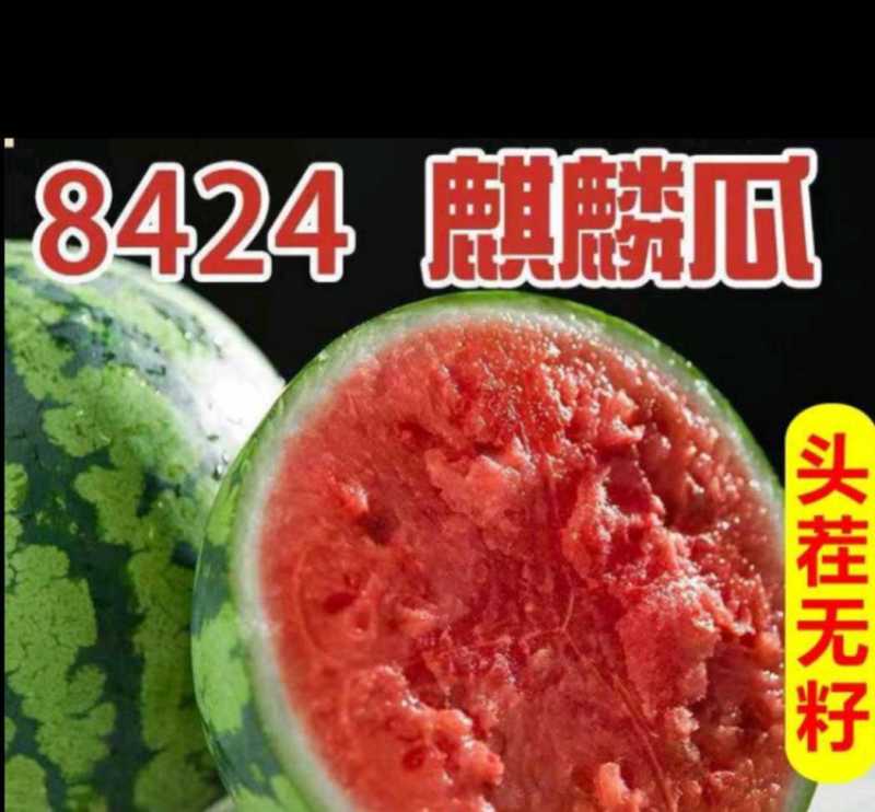 产地各早熟西瓜大上市