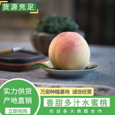 无锡水蜜桃香甜多汁新鲜现摘应季水果快速发货