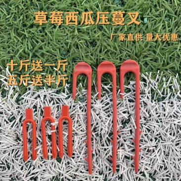 西瓜叉草莓叉甜瓜叉藤蔓育苗叉压苗叉子压茎叉农用大棚植物固
