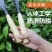 种菜神器锰钢小铲子种花养花种菜工具挖野菜花卉除草挖土铁铲