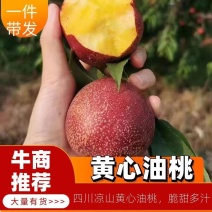 【一件代发】四川凉山黄心油桃油桃每天日照8小时脆甜好吃