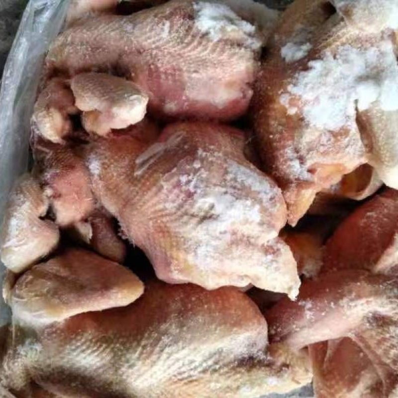 老母鸡公鸡三黄鸡乌鸡加工厂专用