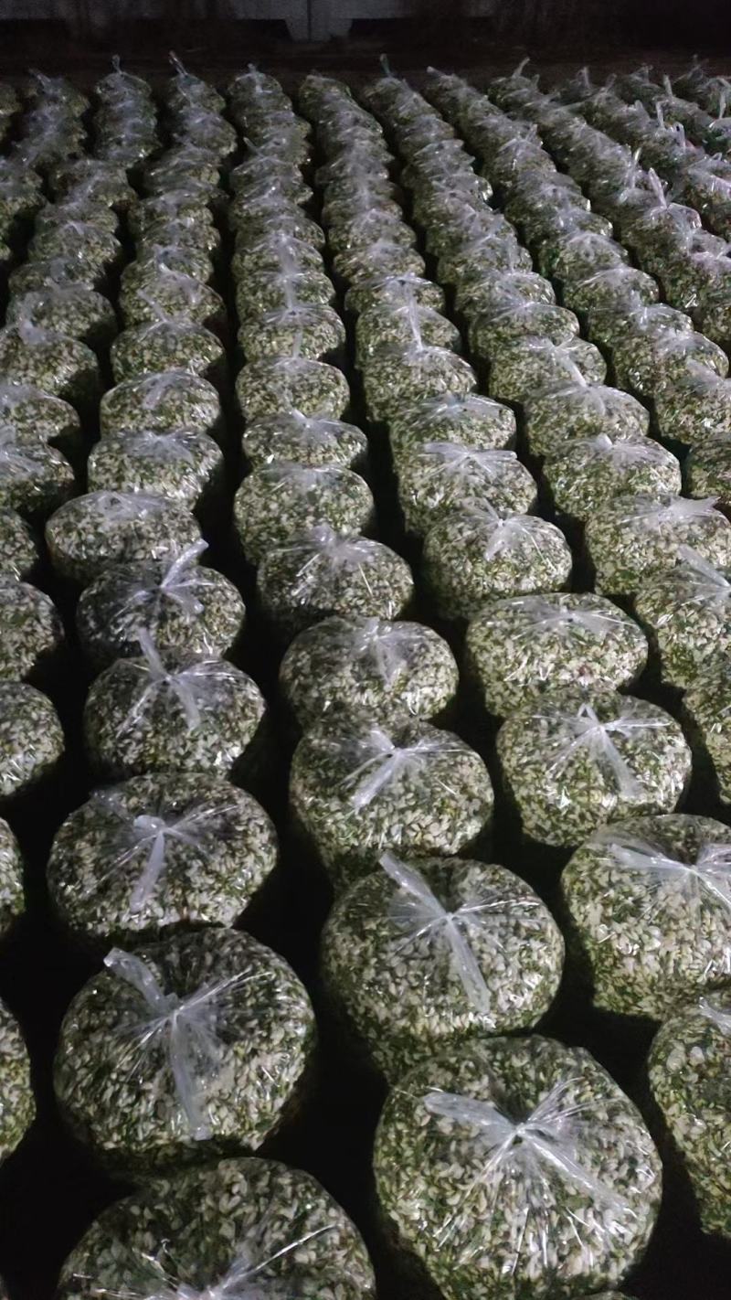 甘肃精品洋槐花货源充足大量上市欢迎联系