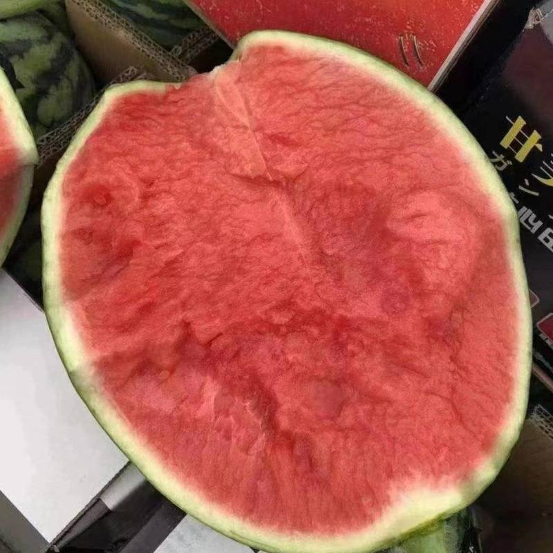 【精选】美都西瓜美都麒麟西瓜大量上市产地直发供全国