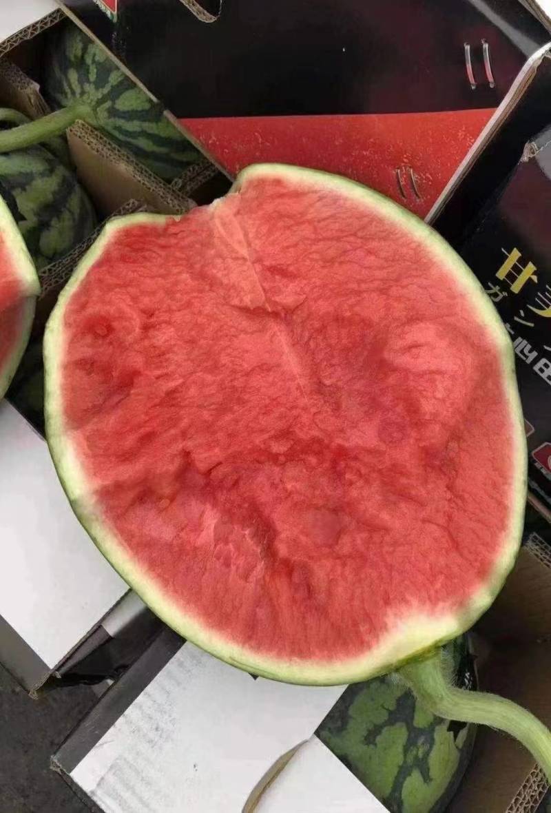 【精选】美都西瓜美都麒麟西瓜大量上市产地直发供全国