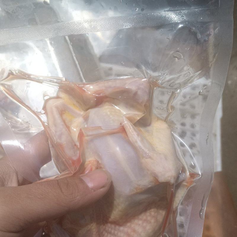 鸽肉