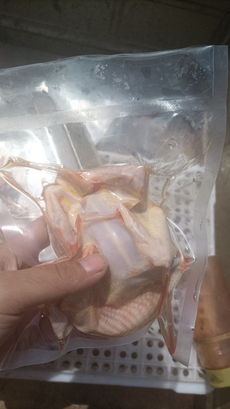 鸽肉