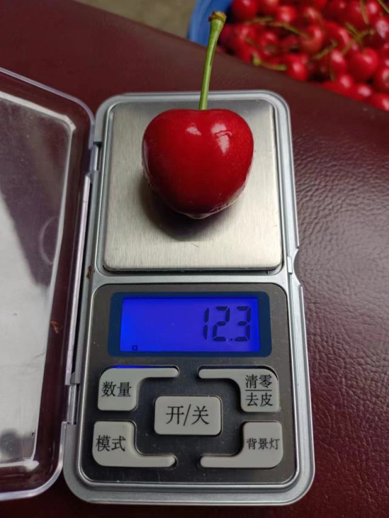 灵宝露地大樱桃先锋，女王，艳阳拉宾丝大量上市
