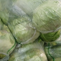 加工厂甘蓝大量有货