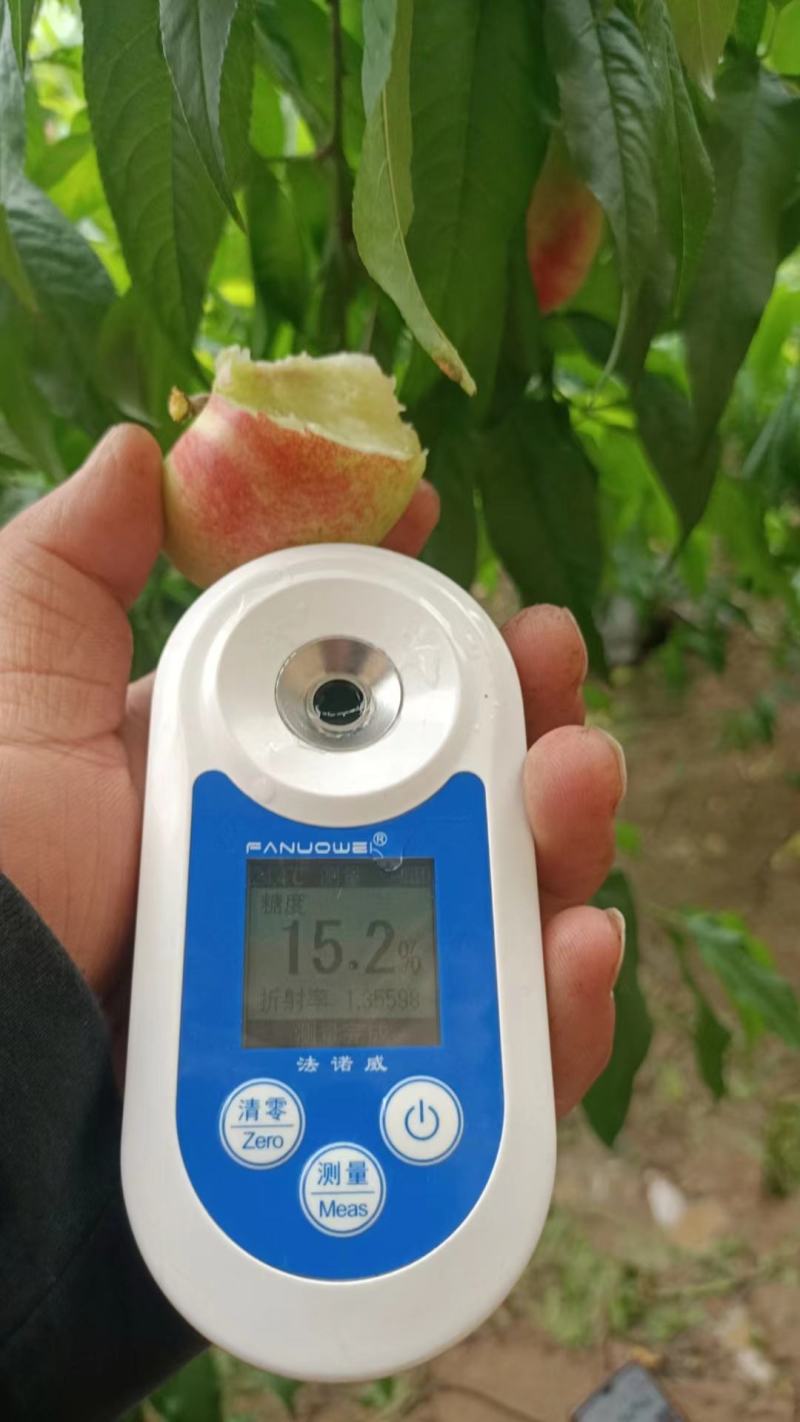 暖棚，钢架棚（油蟠桃杠6黄色，油蟠桃36红色）大量上市