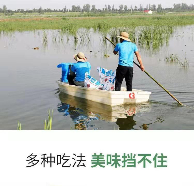 【实力热卖】湖北潜江清水小龙虾特级清水小龙虾一手货源