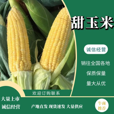 主产地大量供应甜玉米太阳花可打冰调车一条龙服务！！