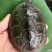 常温孵化，外塘冬眠，好养易大，中华草龟