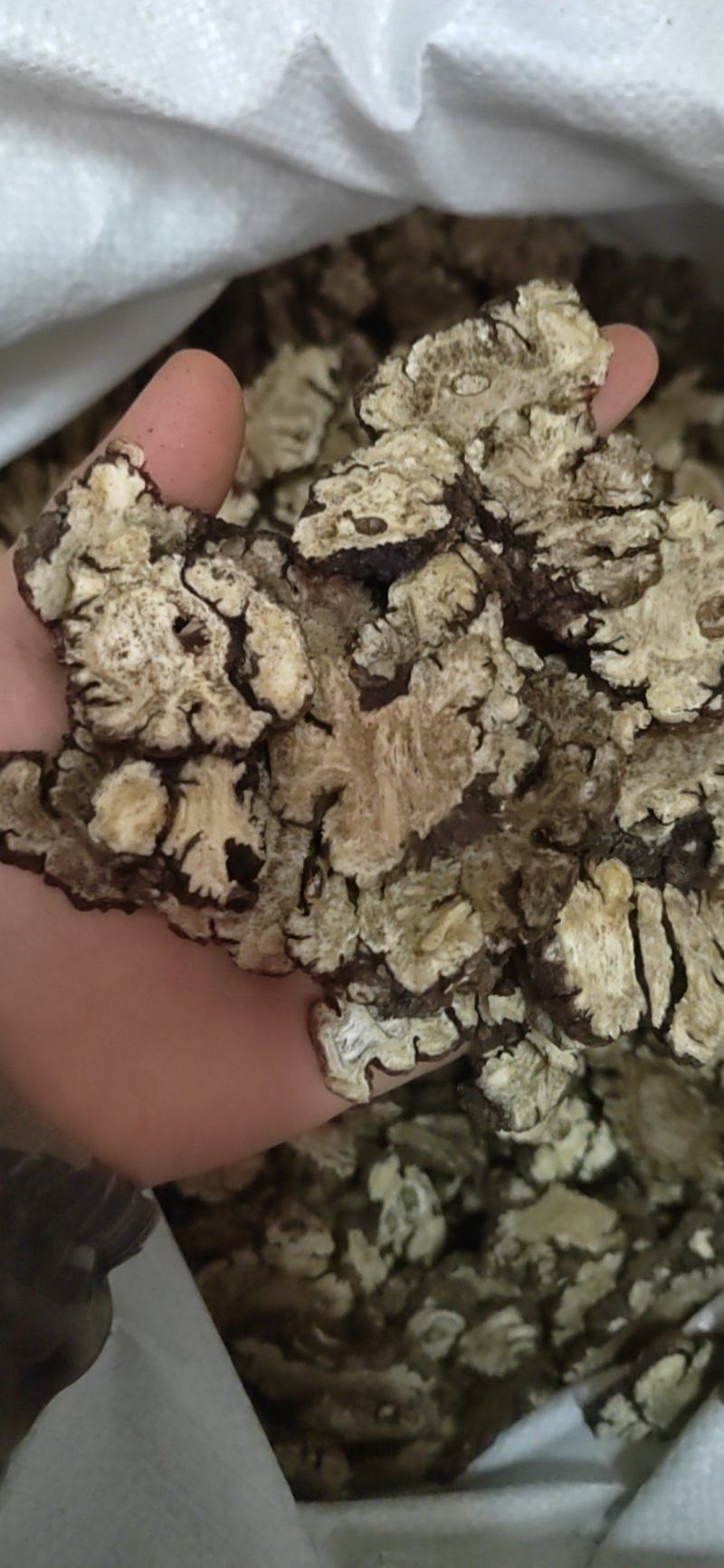 川穹，可打粉，产地货源充足，品质保证，产地四川