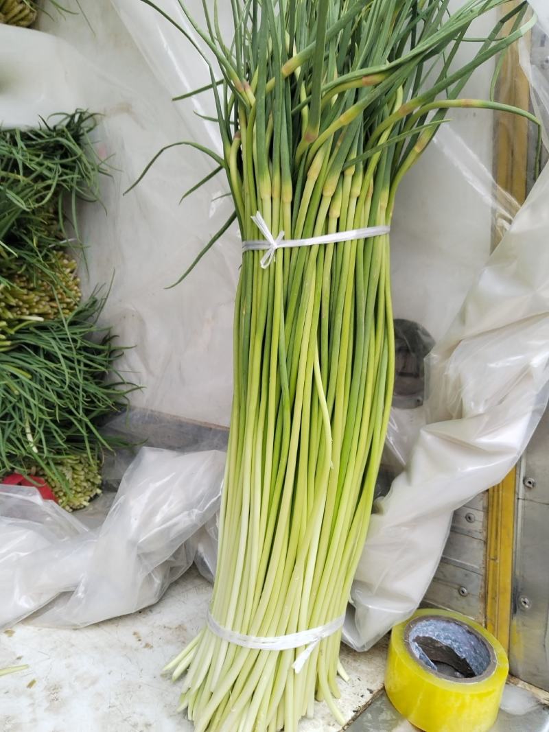 精品红帽量大质优，需要的老板联系我，代发全国