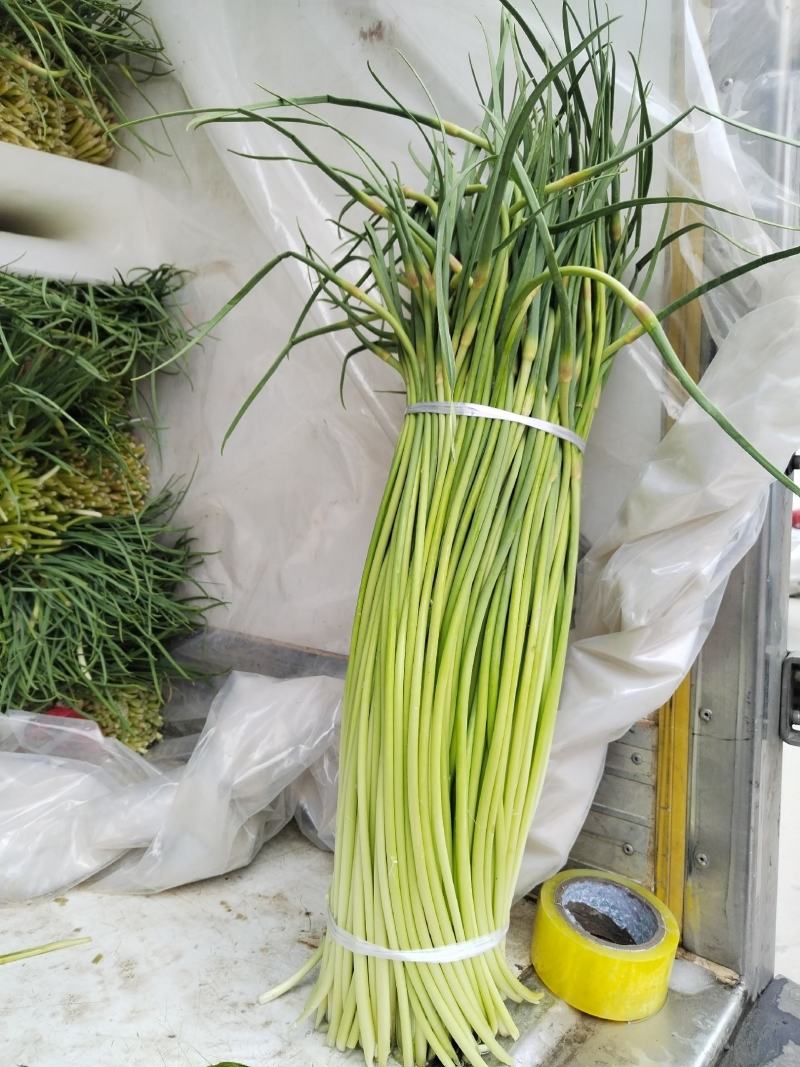 精品红帽量大质优，需要的老板联系我，代发全国