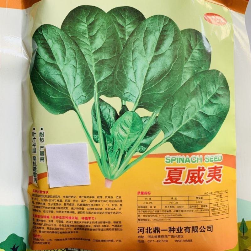 夏威夷菠菜种子，300克