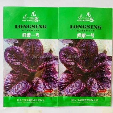 鲜紫一号叶用莴苣菜种子速生特色叶菜种子抗病丰产可周年栽培