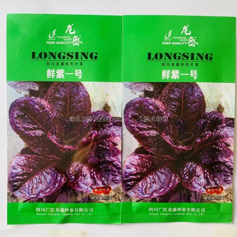 鲜紫一号叶用莴苣菜种子速生特色叶菜种子抗病丰产可周年栽培