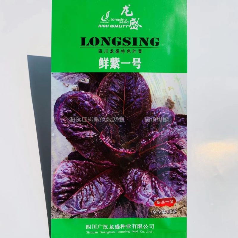 鲜紫一号叶用莴苣菜种子速生特色叶菜种子抗病丰产可周年栽培
