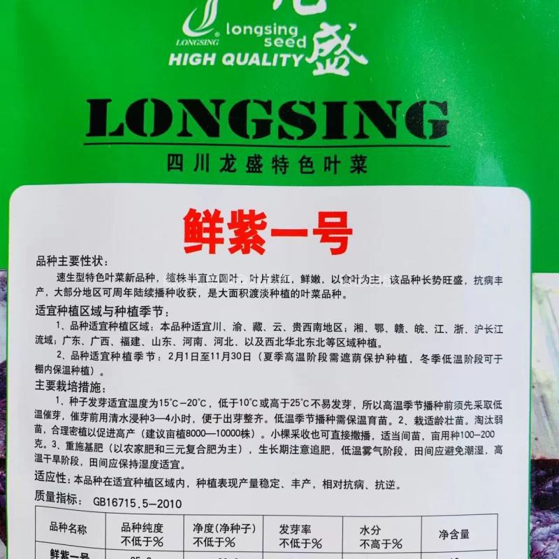 鲜紫一号叶用莴苣菜种子速生特色叶菜种子抗病丰产可周年栽培