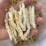 江湖地摊展会货源批发中药材草石蚕地蚕土冬虫草白虫草量大