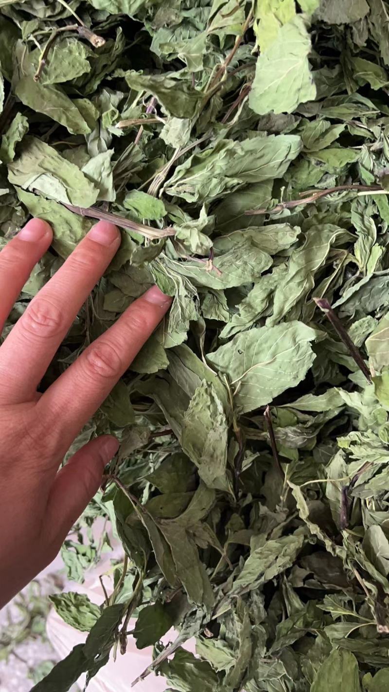 薄荷叶，安徽基地供货一手货源，质量好，价格优惠，欢迎采购