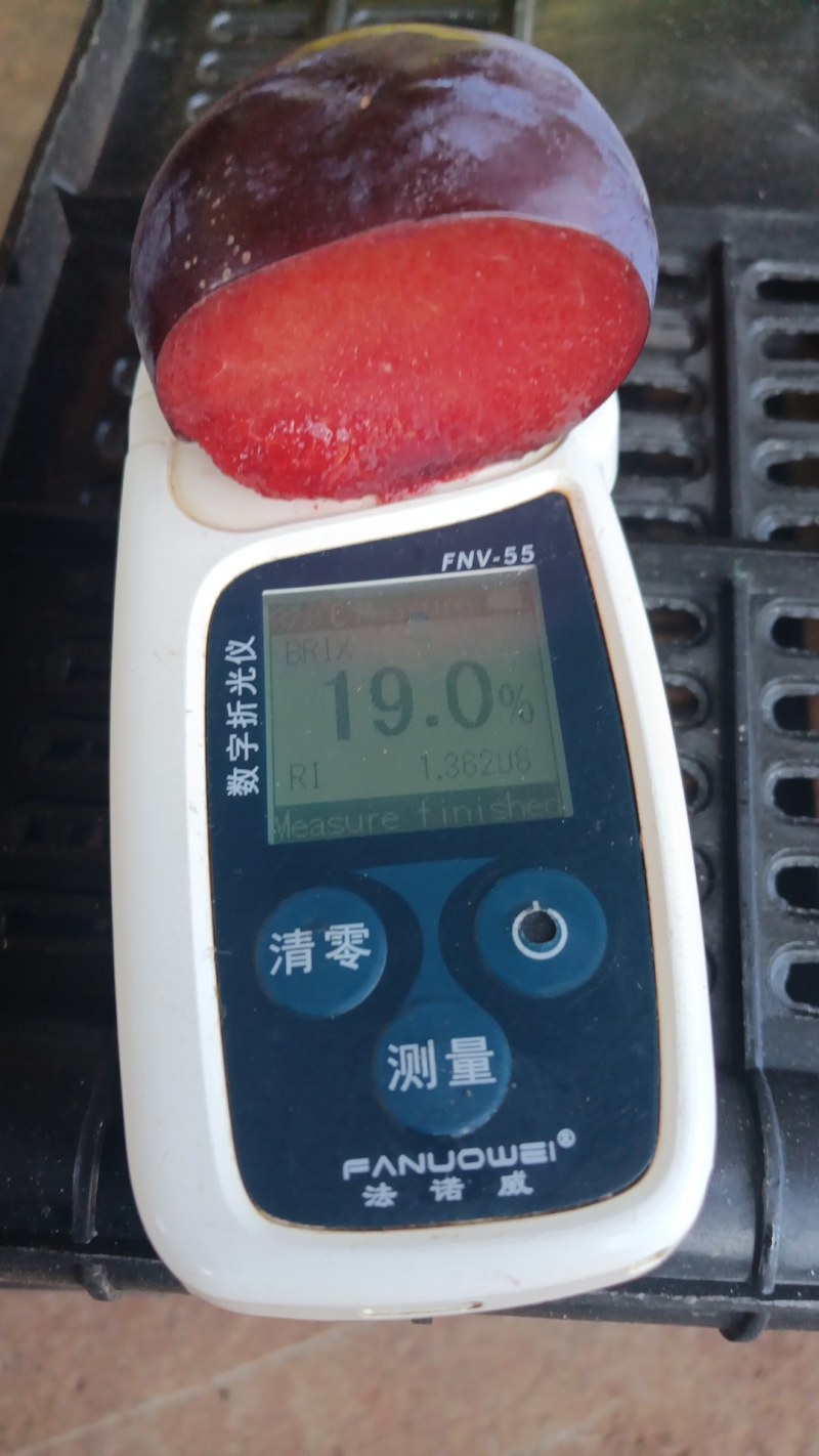 果益农风味玫瑰香
